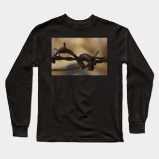 Barbed Wire by Avril Thomas at Magpie Springs Long Sleeve T-Shirt